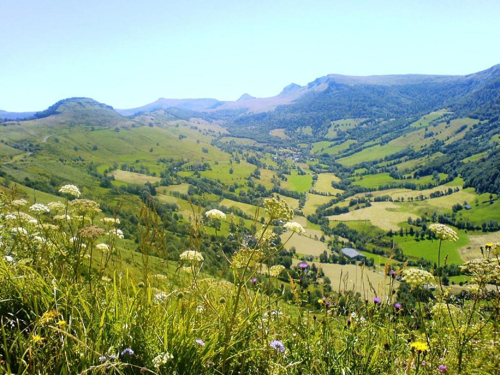 Domaine De La Chaux De Revel Vendégház Saint-Martin-Valmeroux Kültér fotó